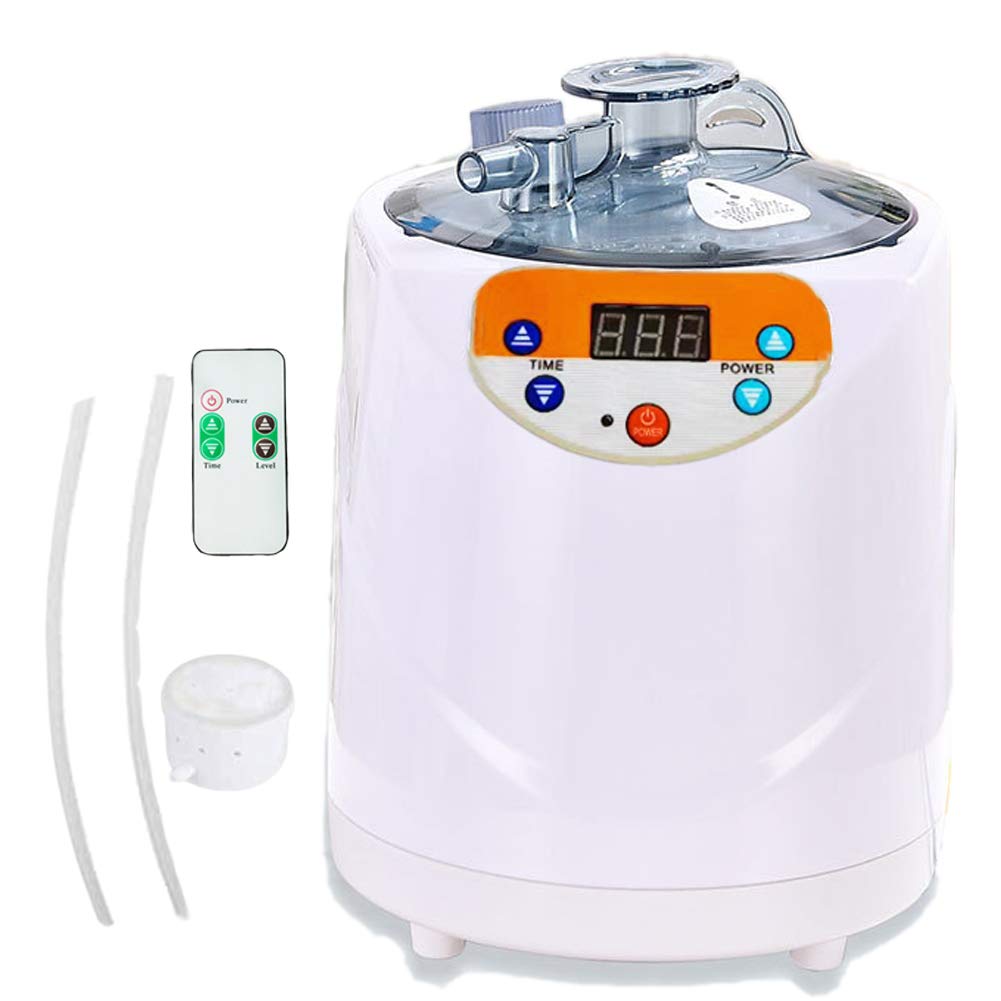 Holalifes 3L Sauna Steamer Portable Pot 110V US Plug PA002